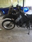 IMG_3428.JPG